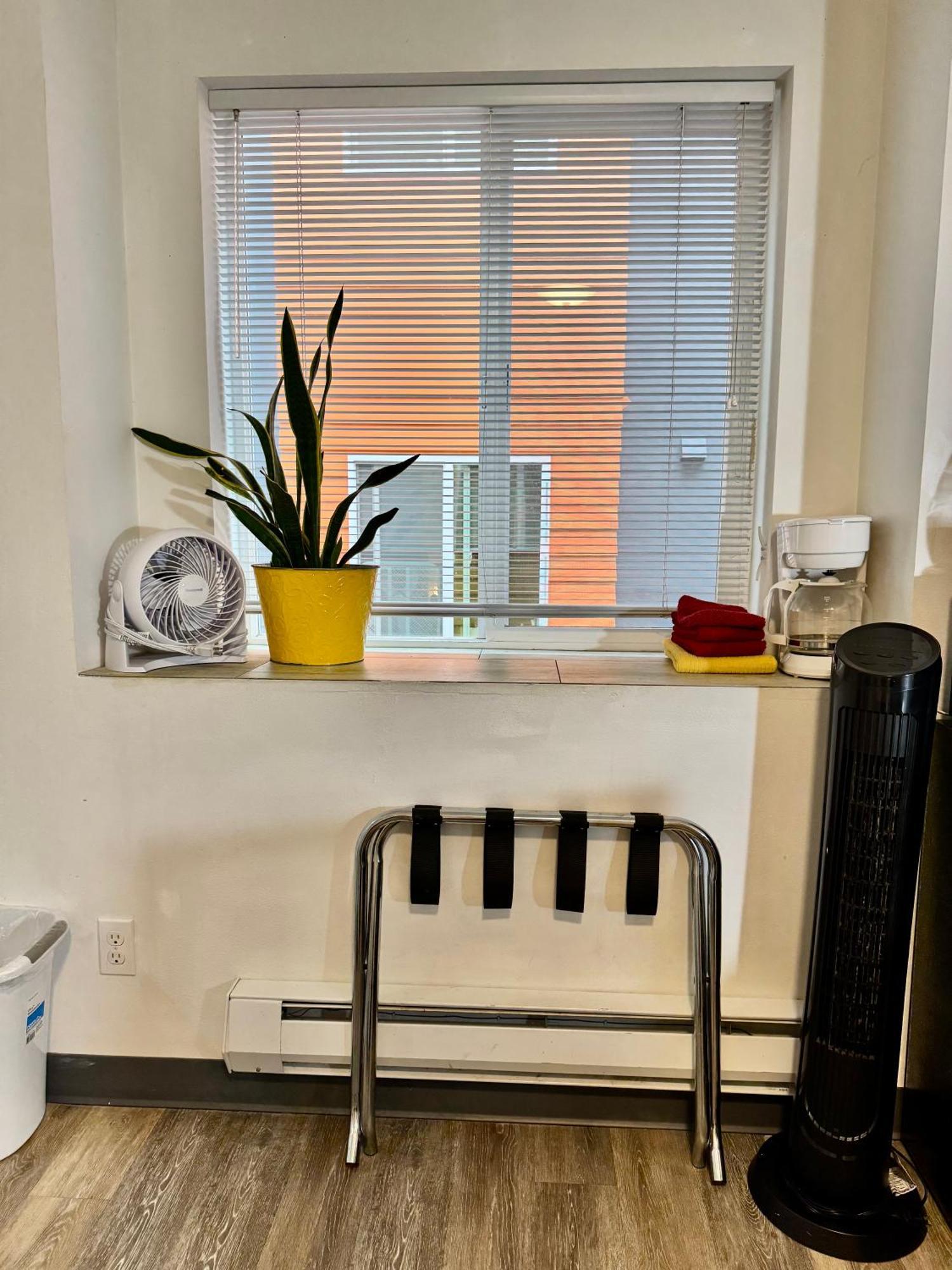 Micro Studio Apartment 10 Minutes Walk To University Of Washington Seattle Eksteriør billede